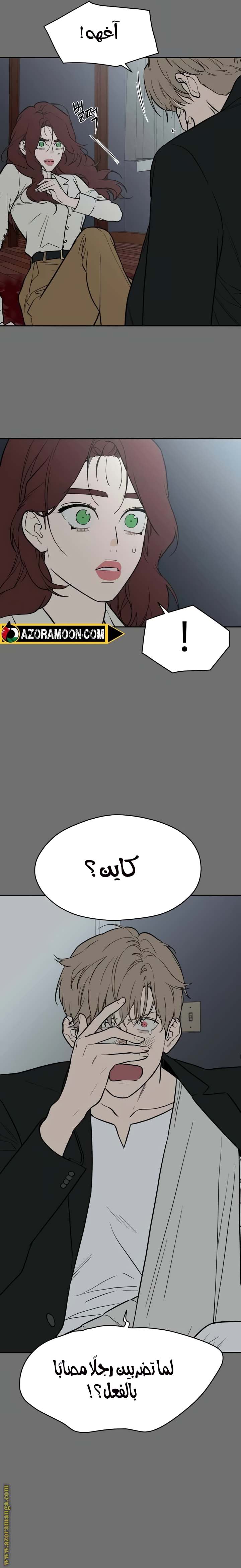 الصفحة 13