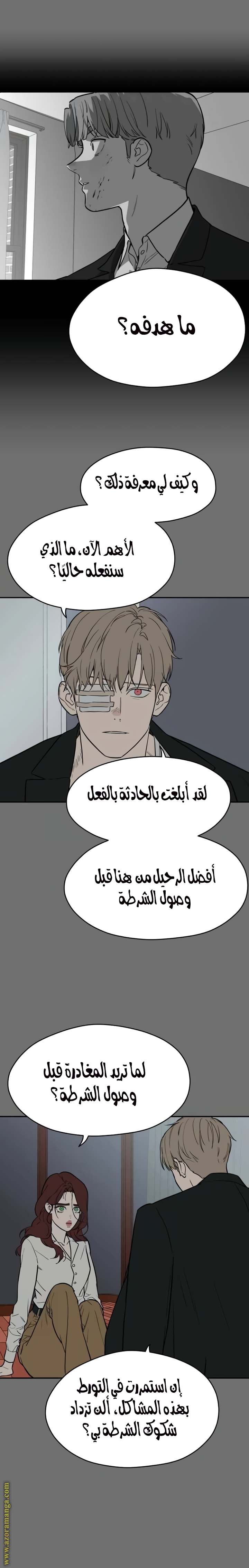 الصفحة 17