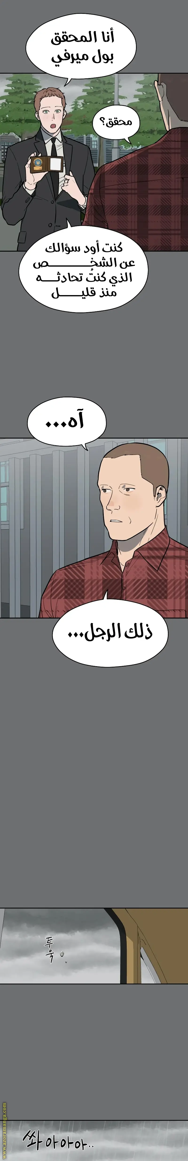 الصفحة 17