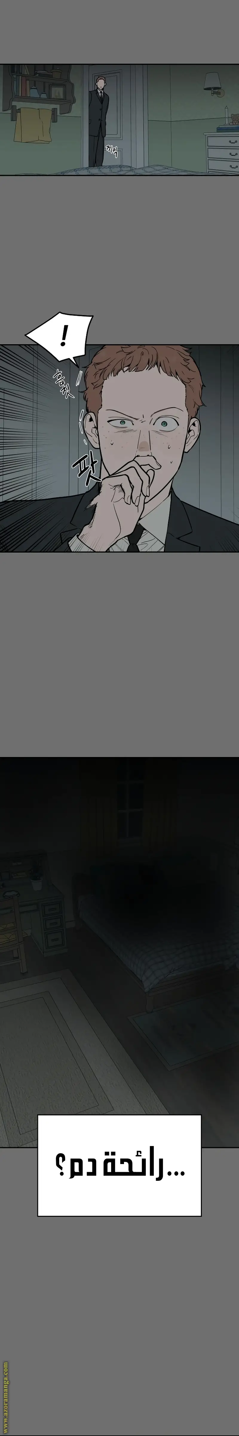 الصفحة 27