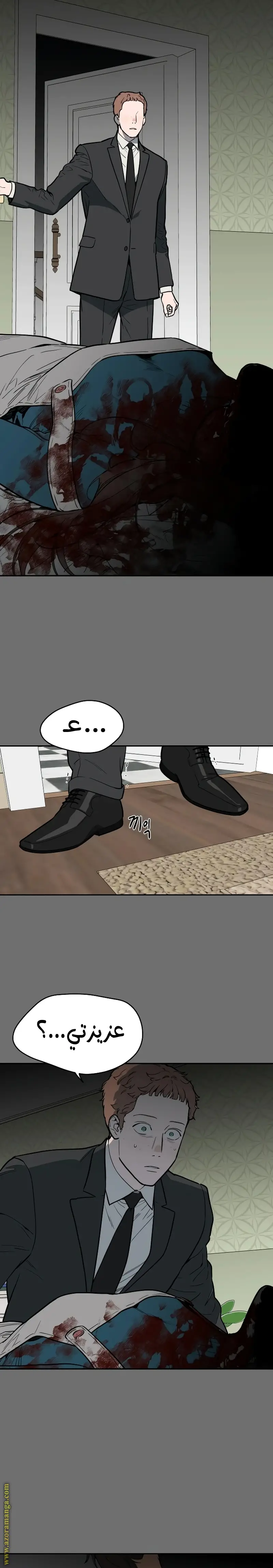 الصفحة 29