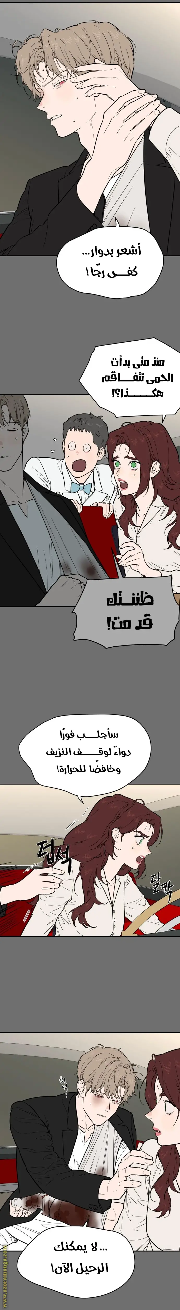 الصفحة 3