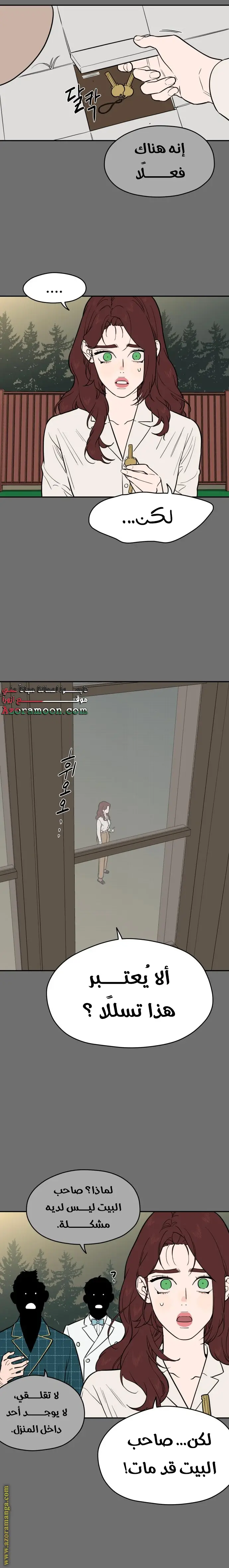 الصفحة 13