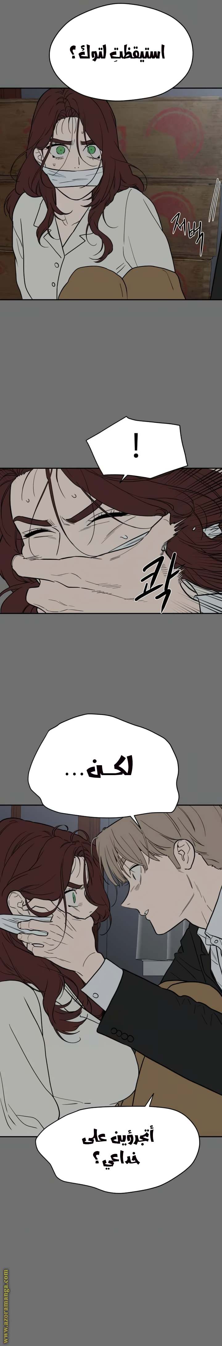الصفحة 12