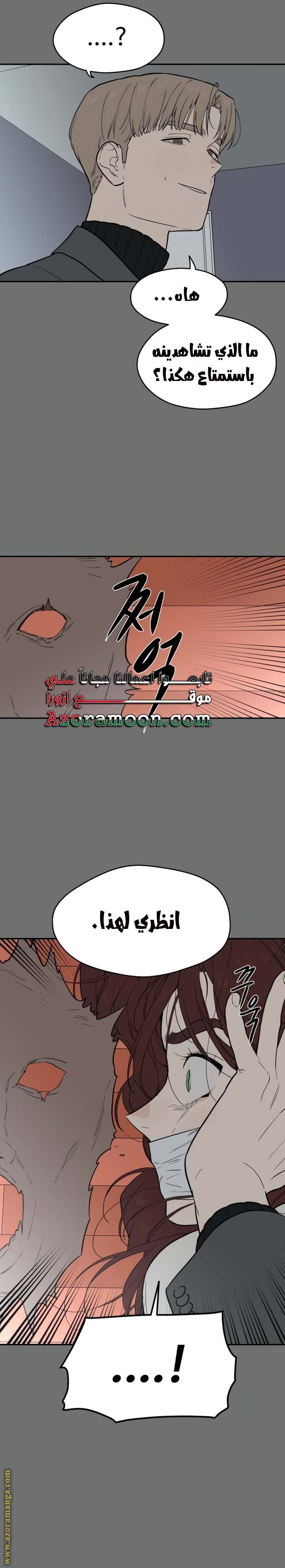 الصفحة 16