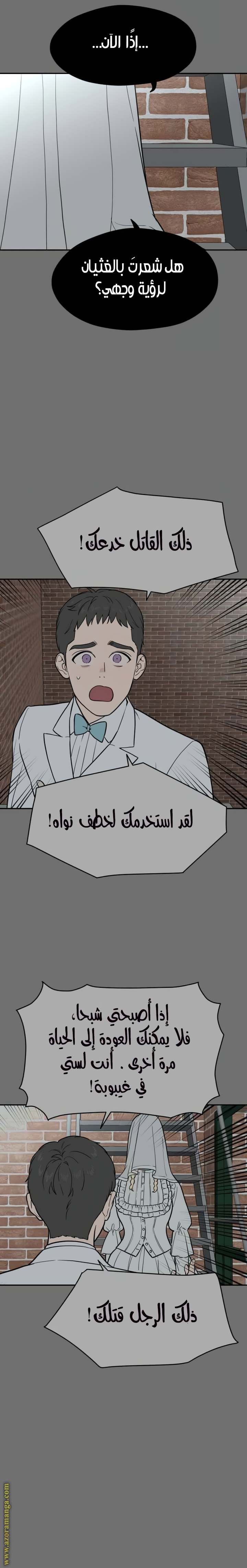 الصفحة 19