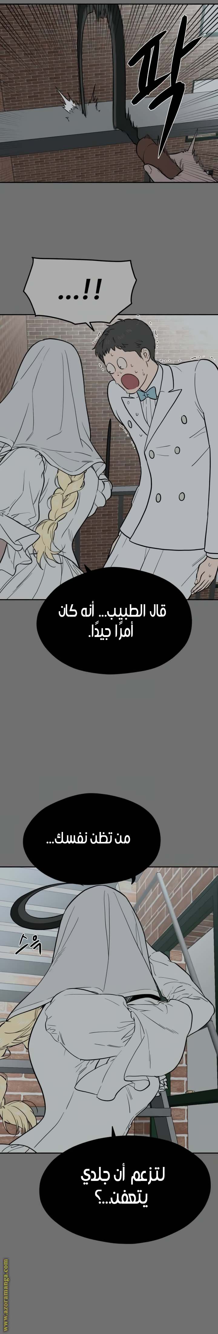 الصفحة 20