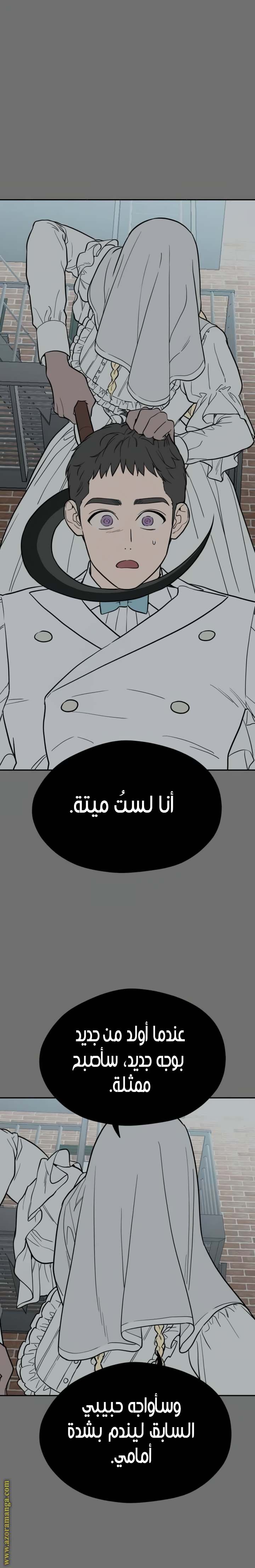 الصفحة 25