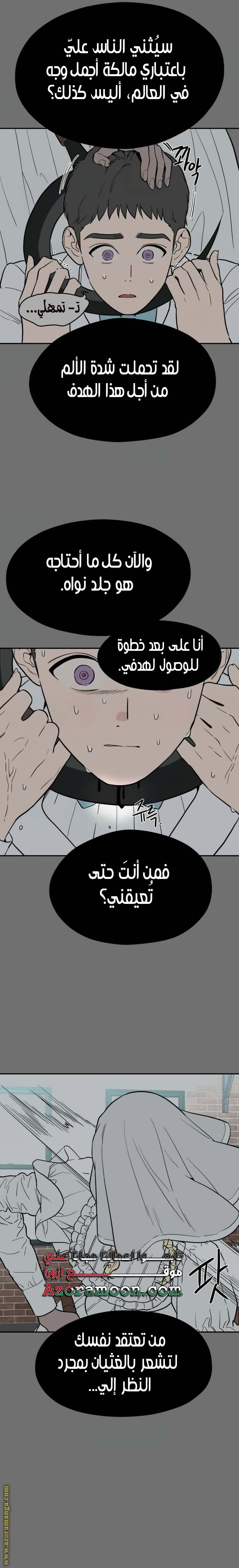 الصفحة 26