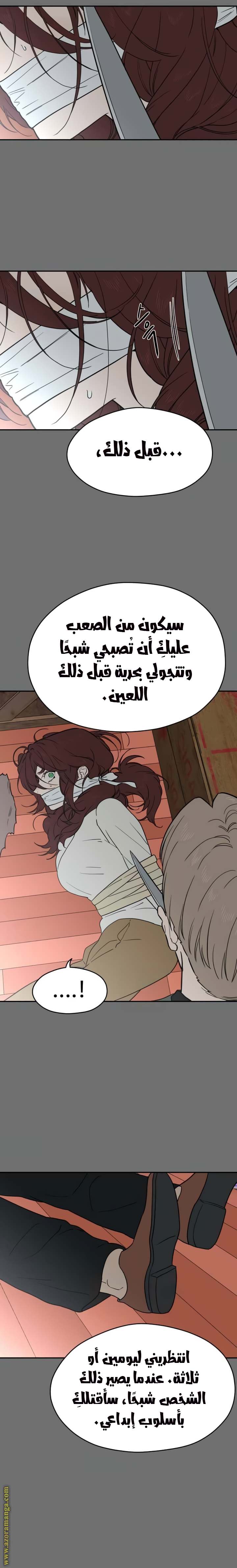 الصفحة 28
