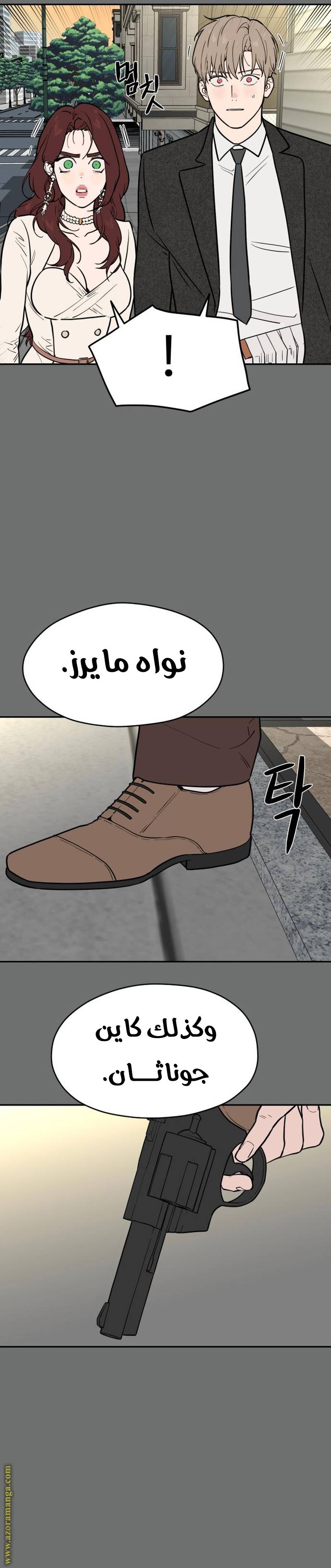 الصفحة 29