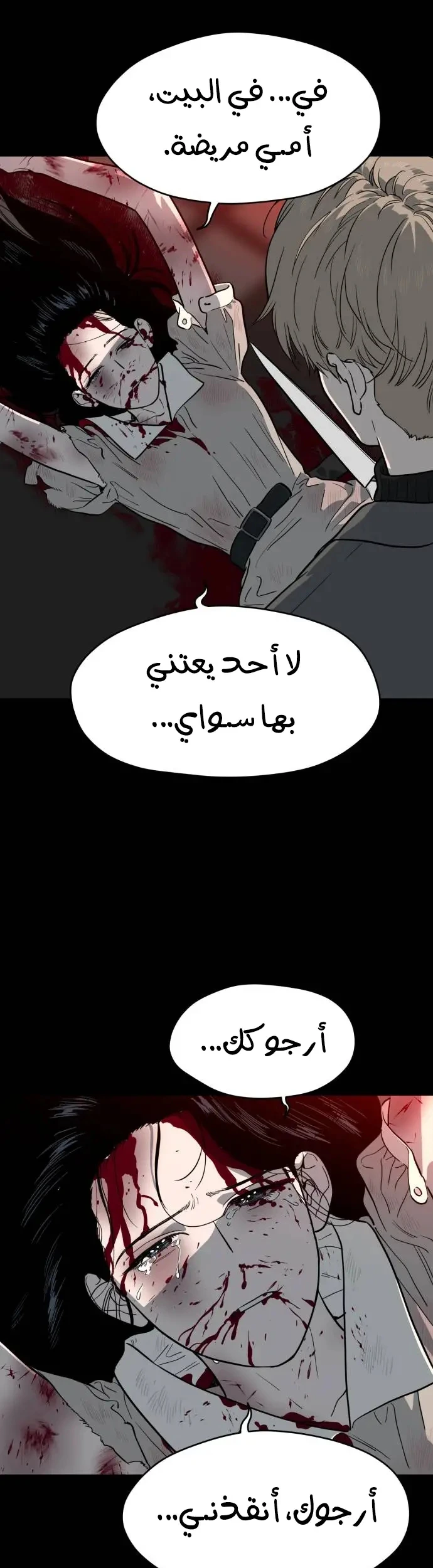 الصفحة 17