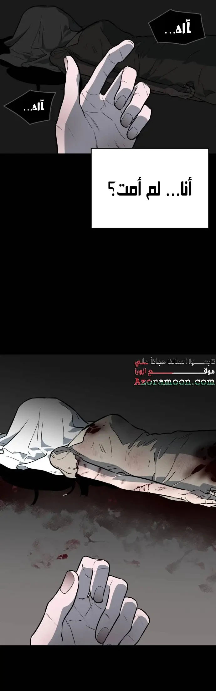 الصفحة 21