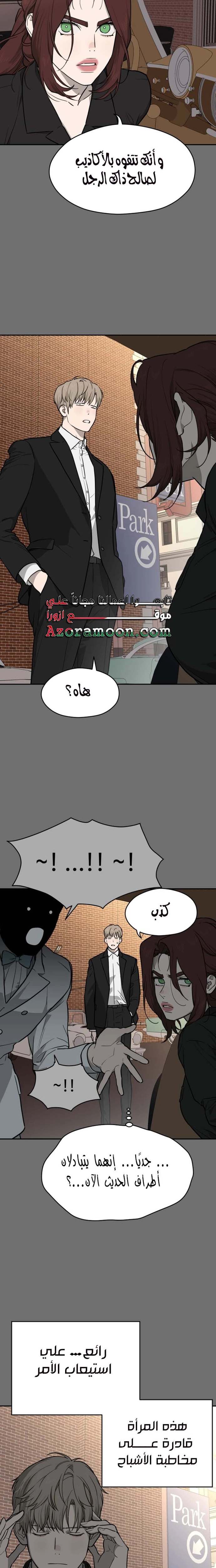 الصفحة 13