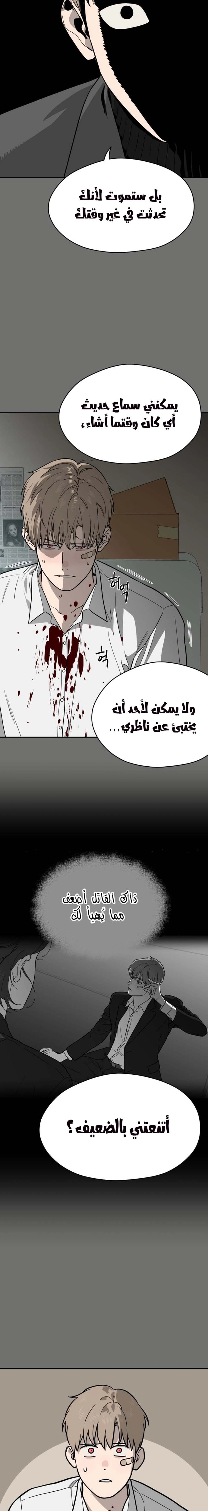 الصفحة 11