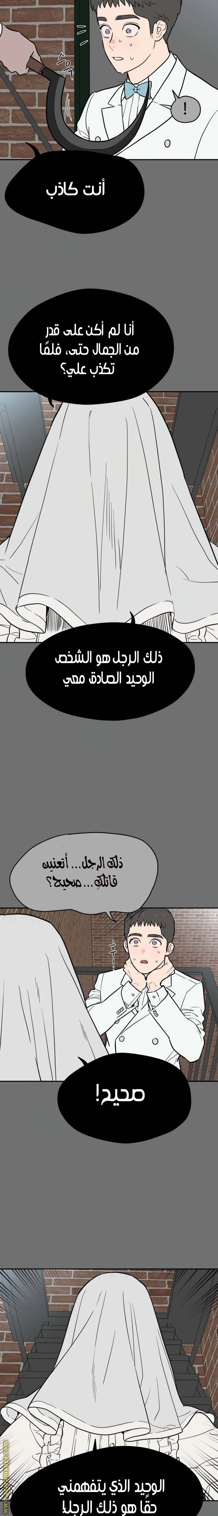 الصفحة 17