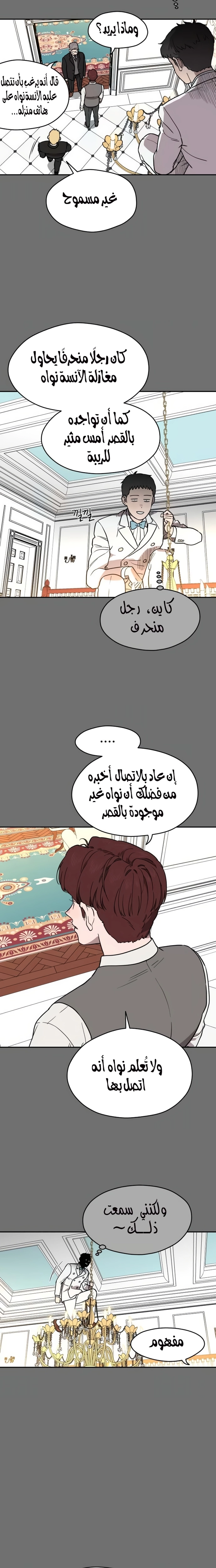 الصفحة 17