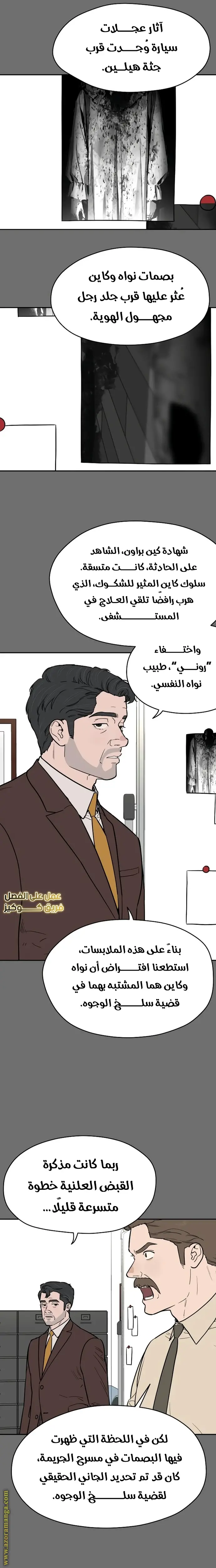 الصفحة 17