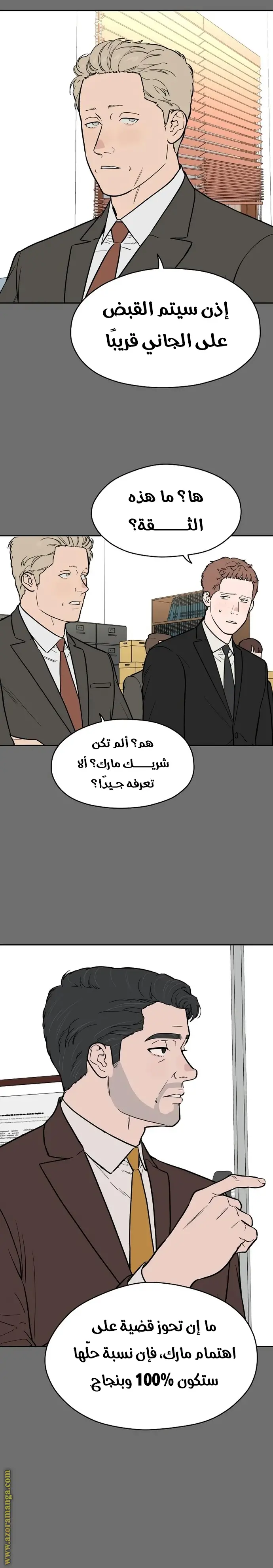 الصفحة 19