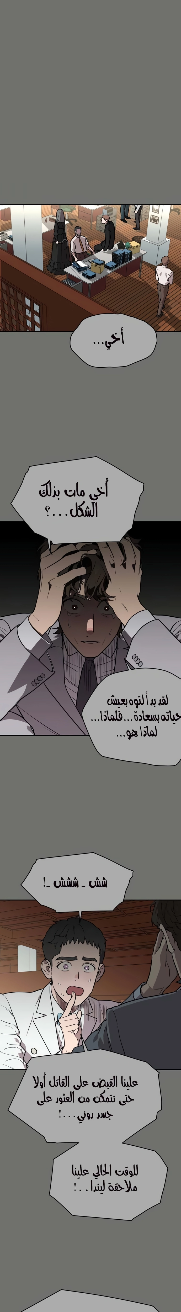 الصفحة 17