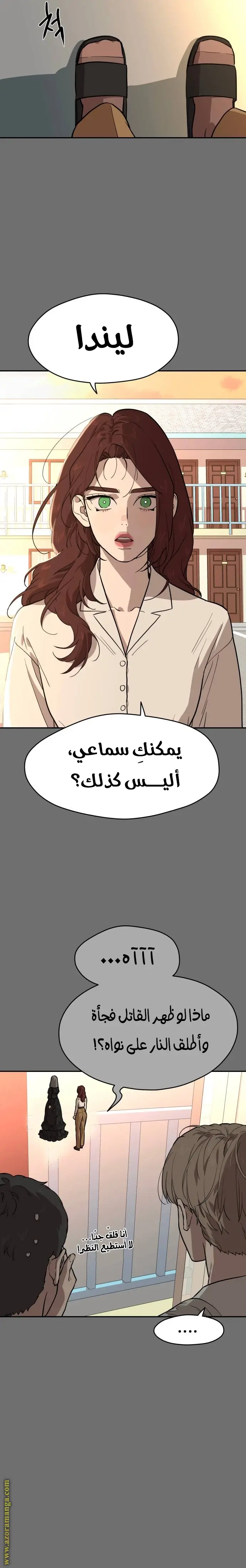 الصفحة 17