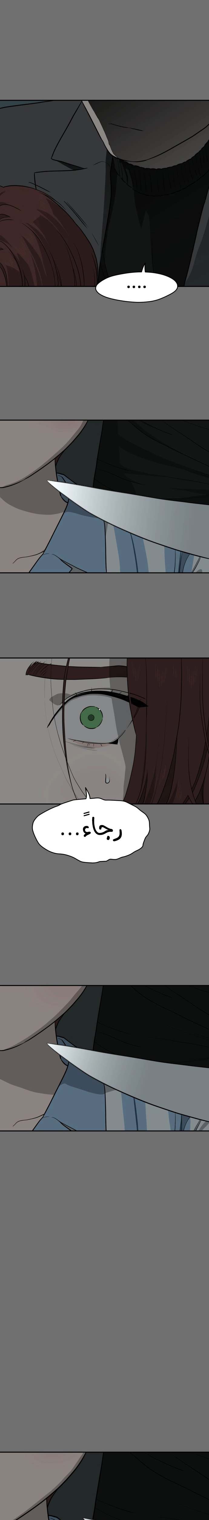 الصفحة 17