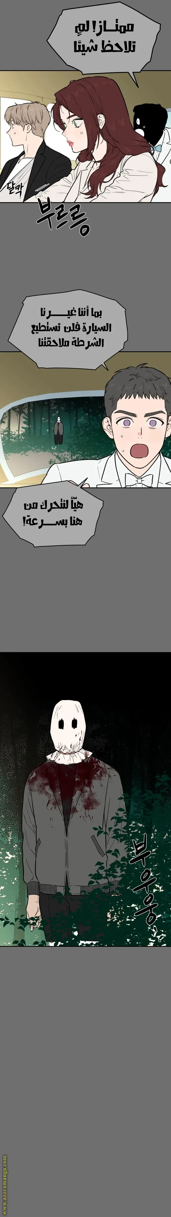 الصفحة 17