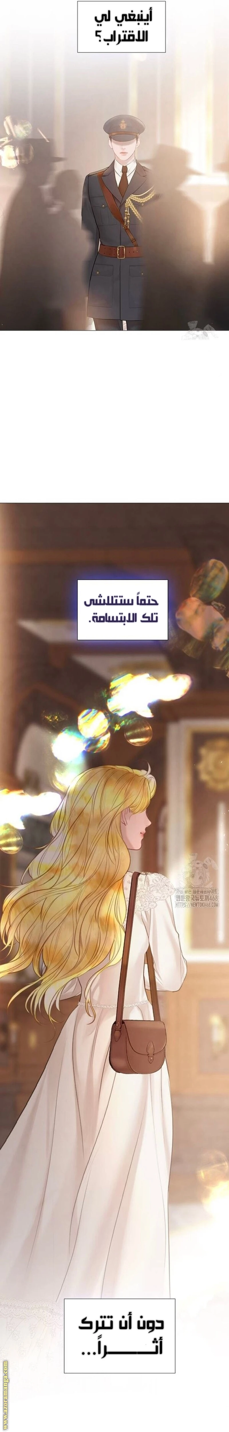 الصفحة 17