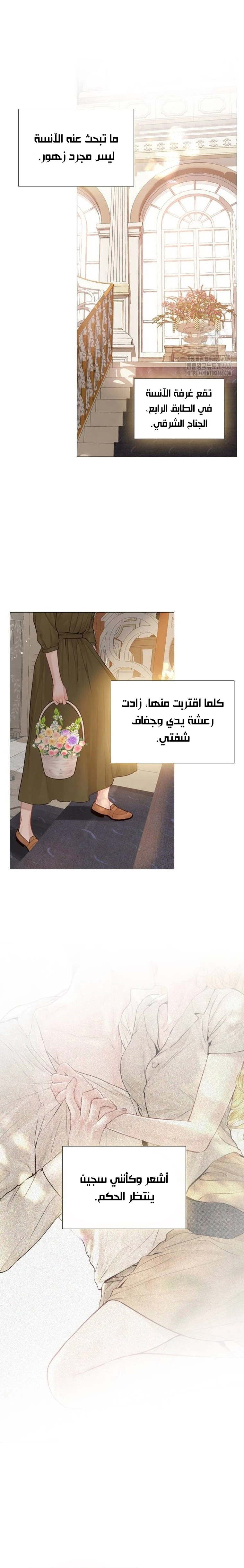 الصفحة 15