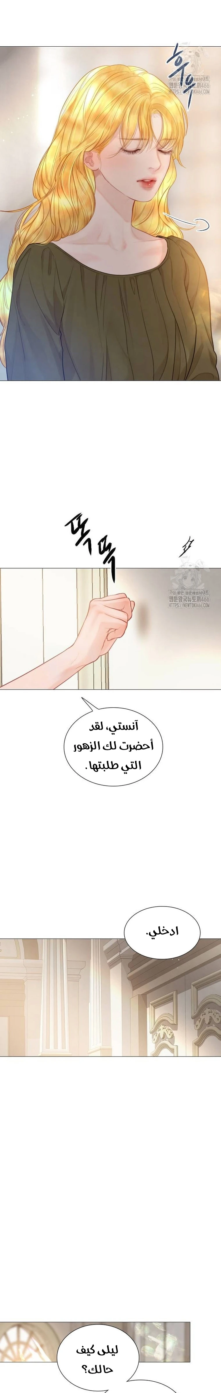 الصفحة 17