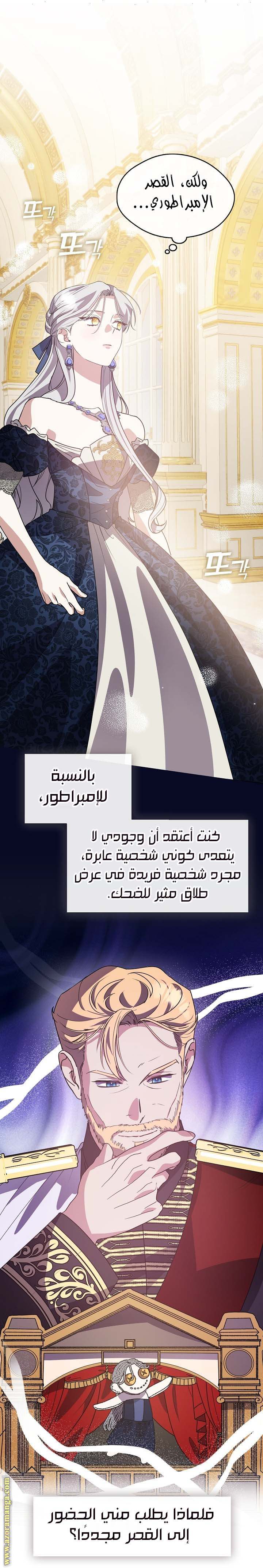 الصفحة 17