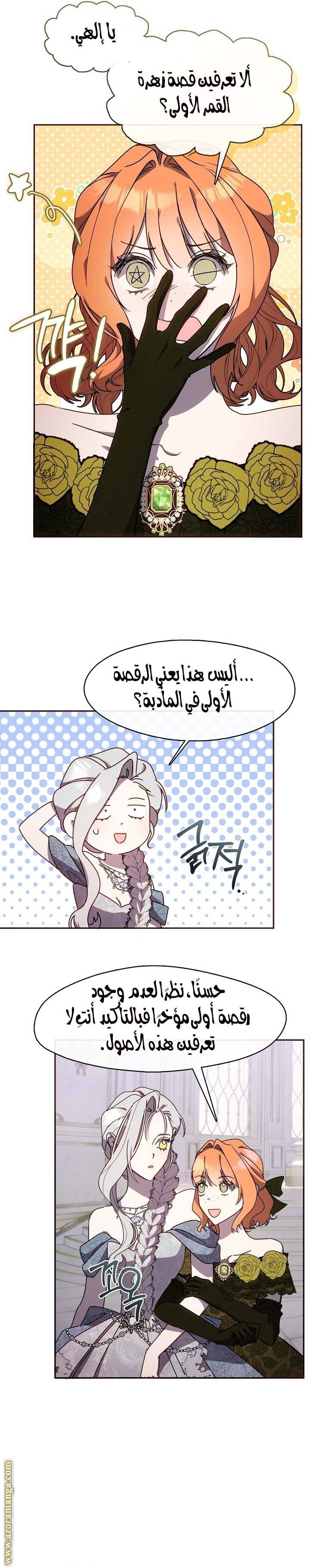 الصفحة 17