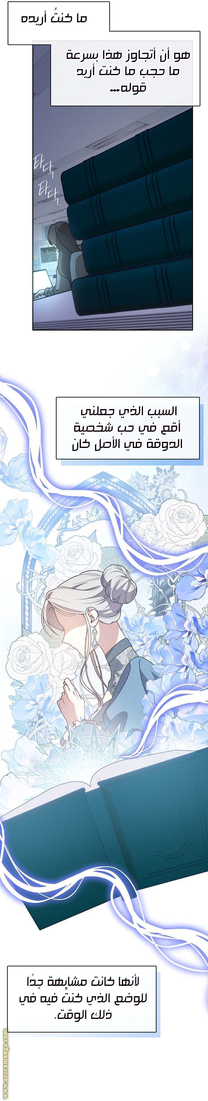 الصفحة 17