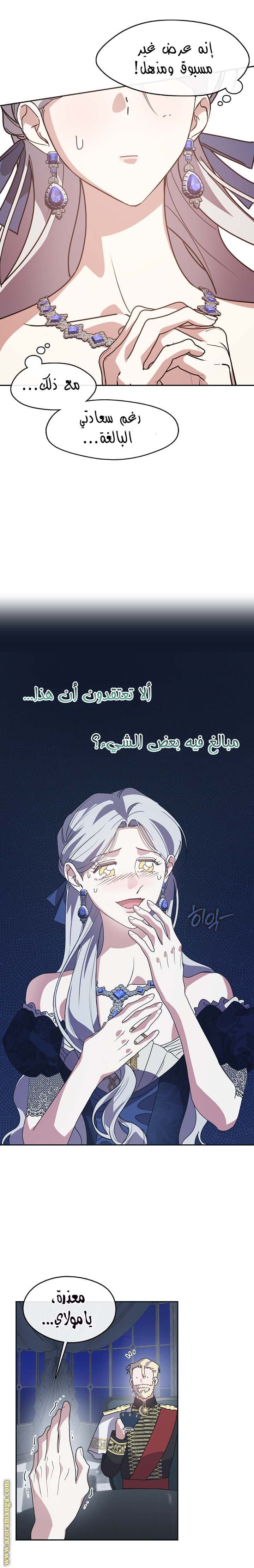 الصفحة 13