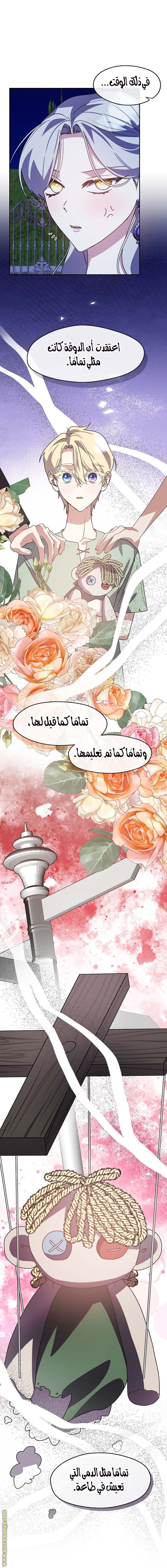 الصفحة 11