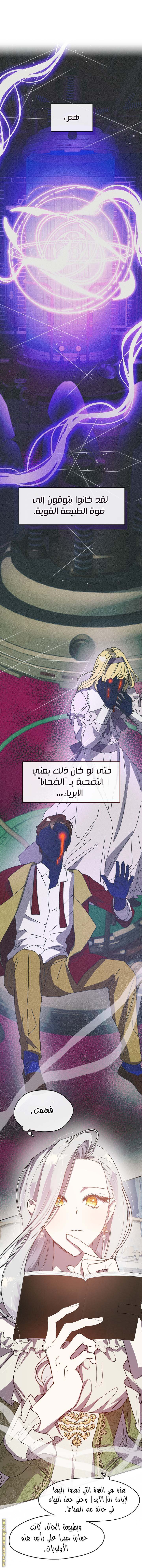 الصفحة 21
