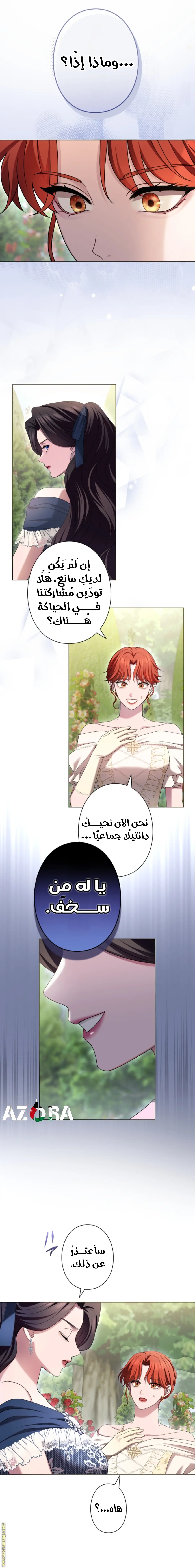 الصفحة 17