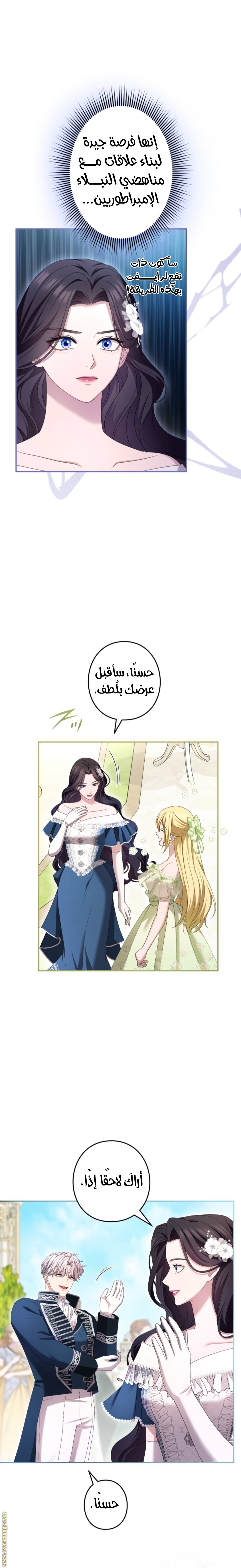 الصفحة 13