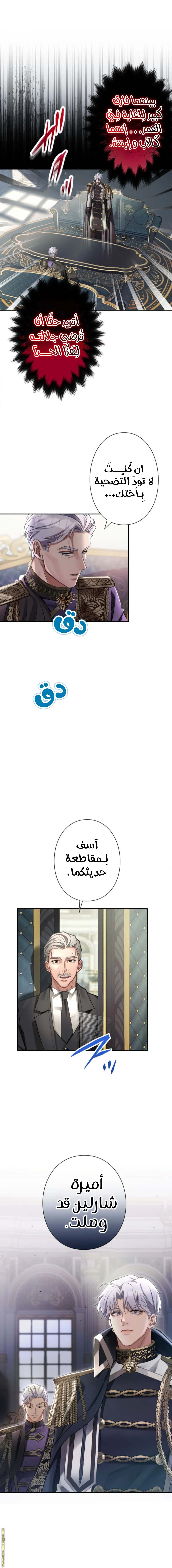 الصفحة 16