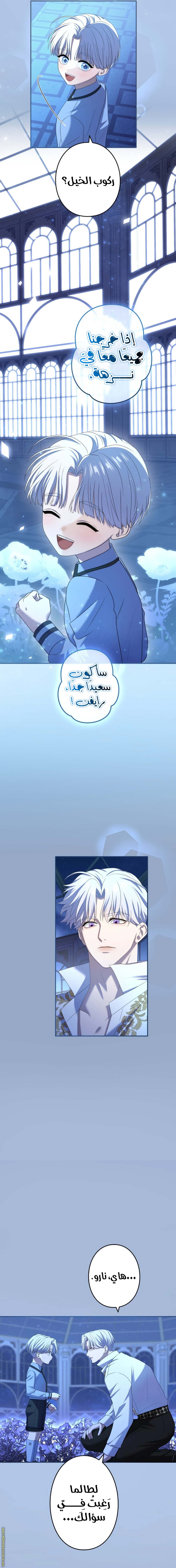 الصفحة 11