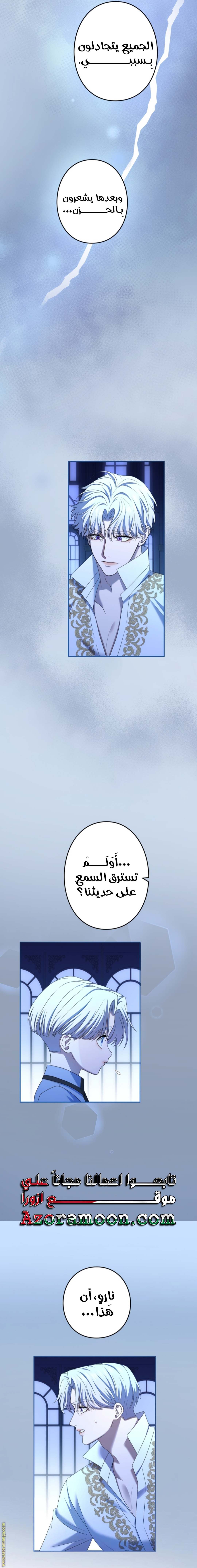 الصفحة 13