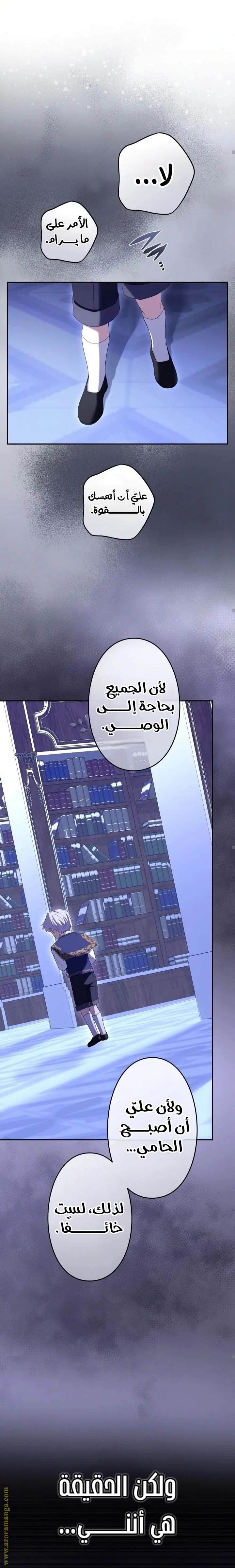 الصفحة 13