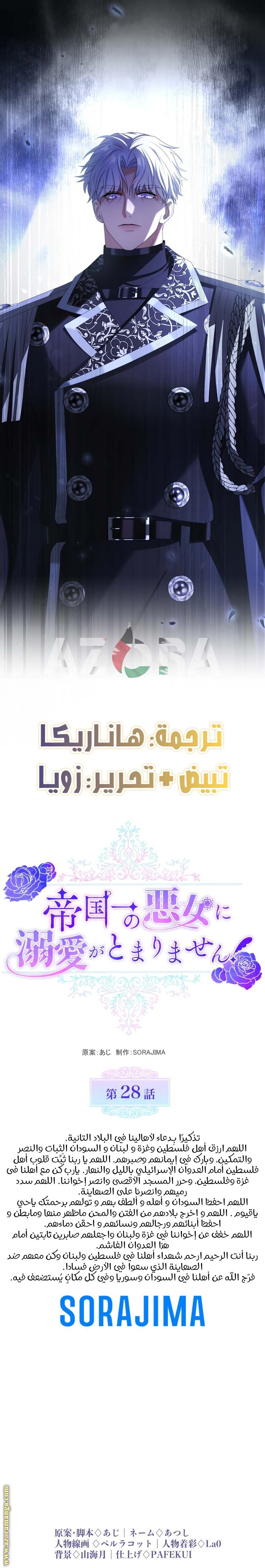 الصفحة 13