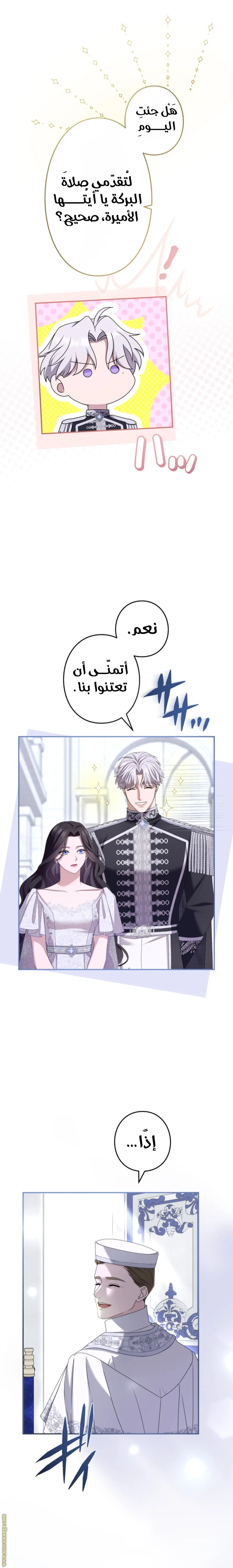 الصفحة 12