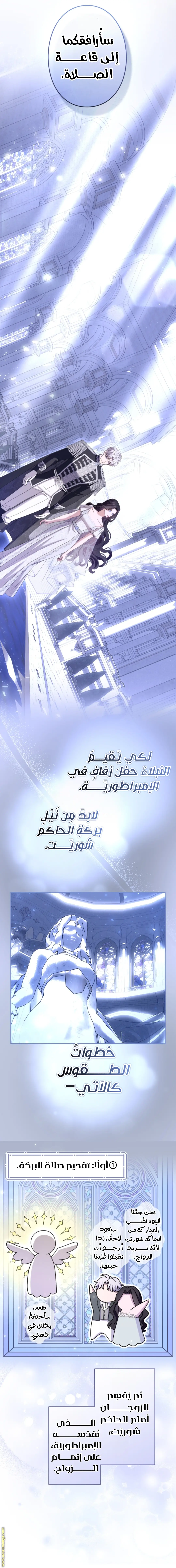 الصفحة 13