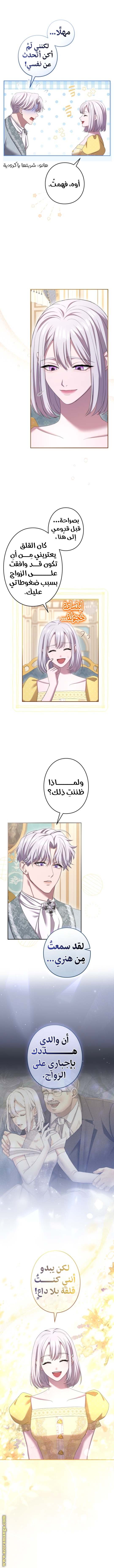 الصفحة 14