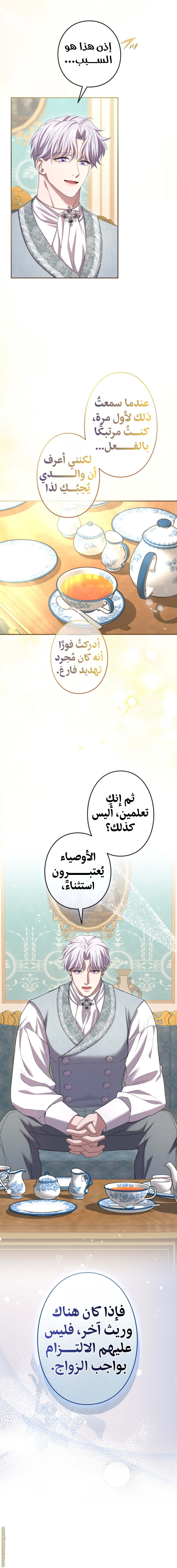 الصفحة 15