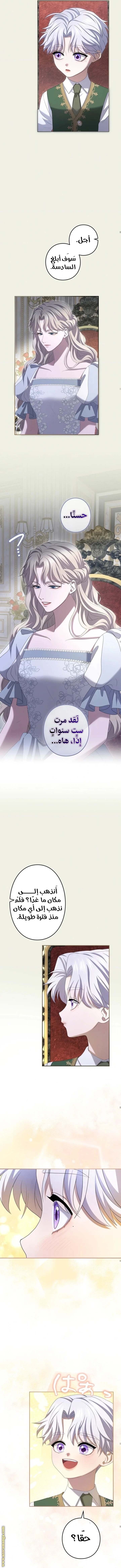 الصفحة 6