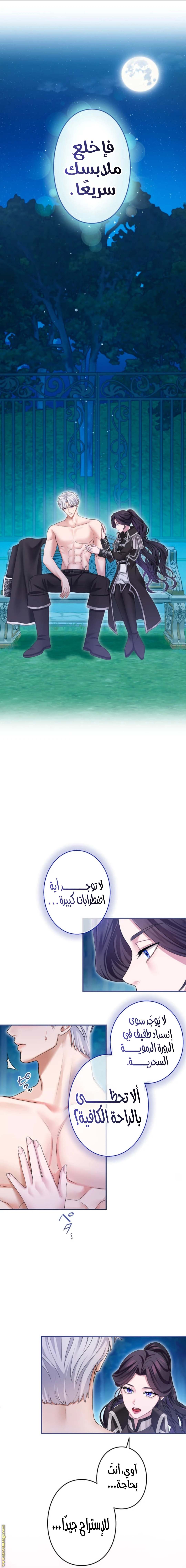 الصفحة 13