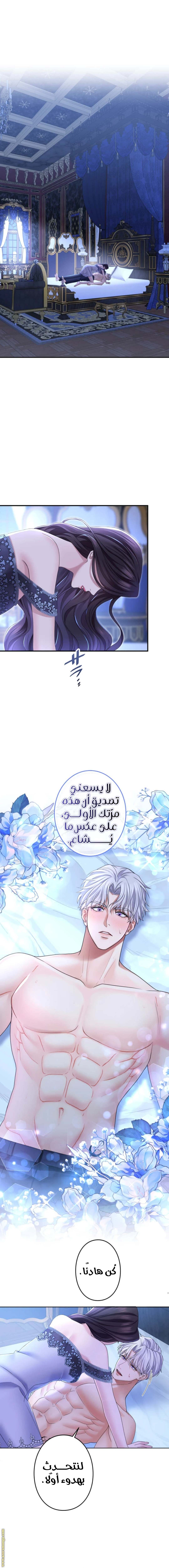 الصفحة 16